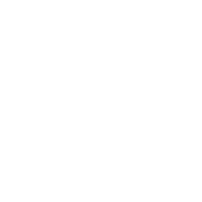 ICON 01