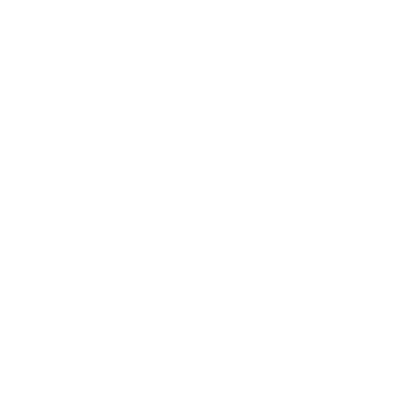 ICON 02