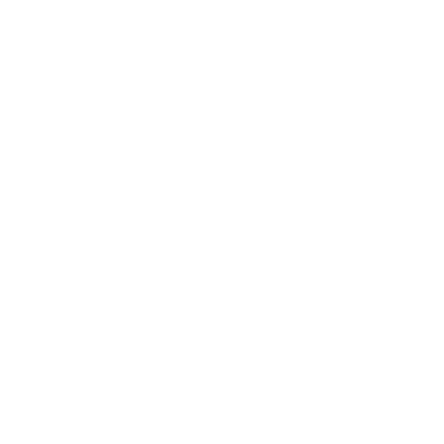 ICON 03